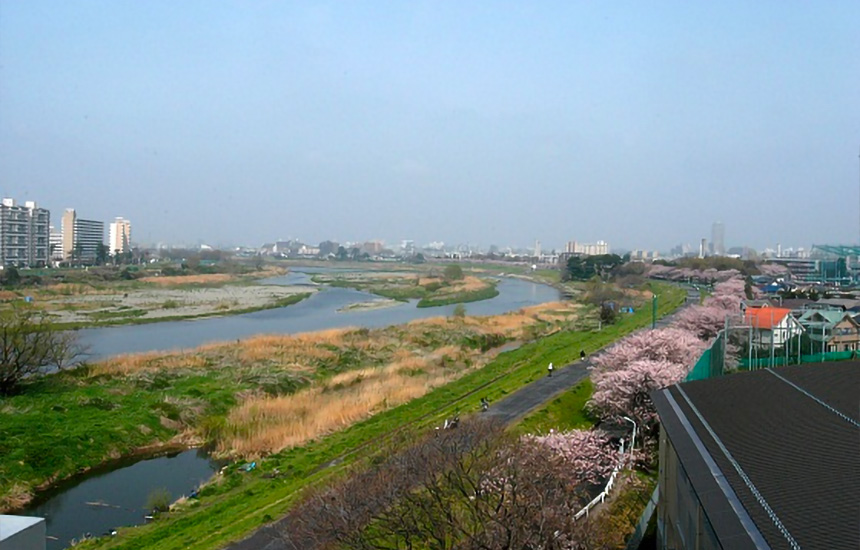 Tama River