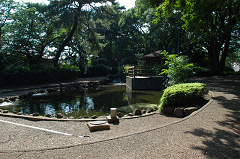 西川原自然公园