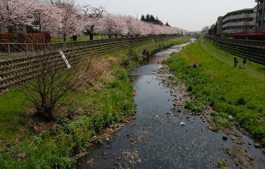 野川