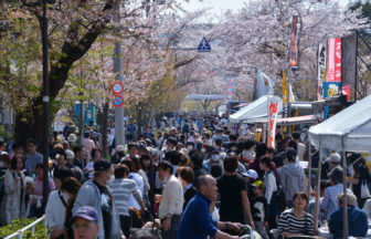 こまえ桜まつり