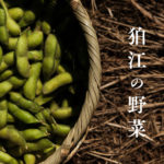 狛江の野菜